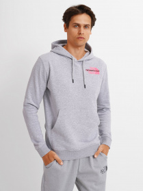 Худи The North Face Graphic Light модель NF0A5IGZDYX1 Фото