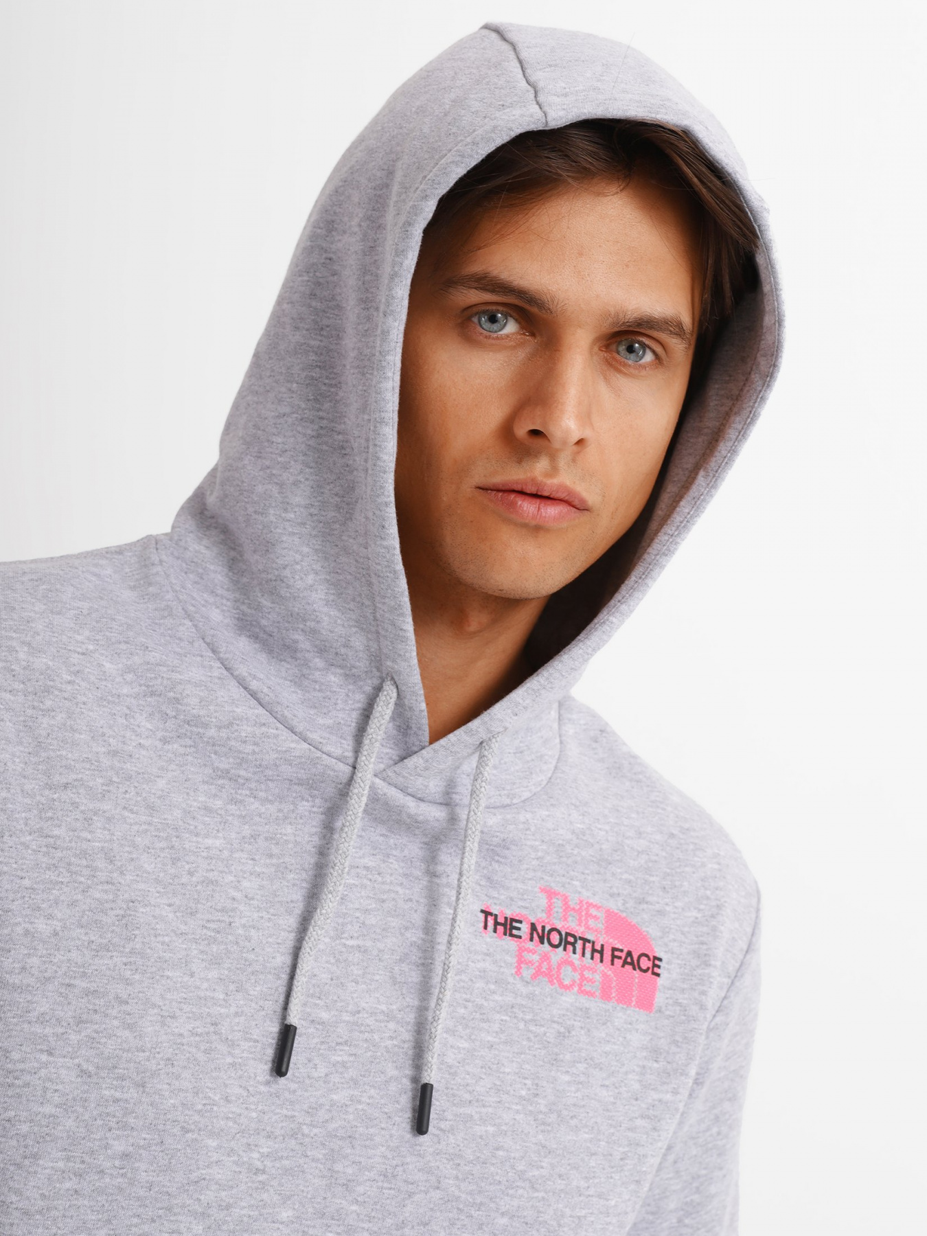 Худі The North Face Graphic Light модель NF0A5IGZDYX1 Фото