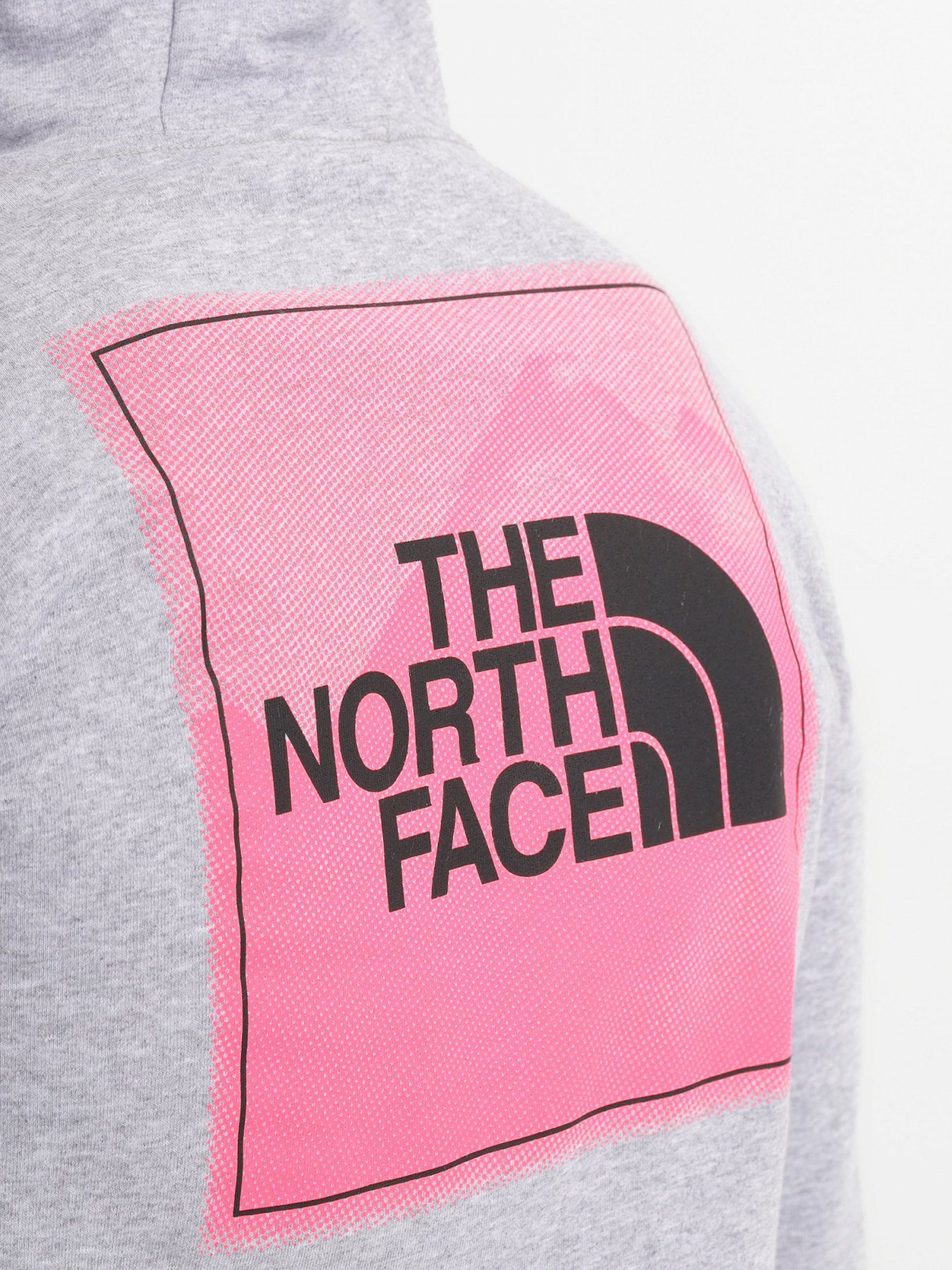 Худі The North Face Graphic Light модель NF0A5IGZDYX1 Фото