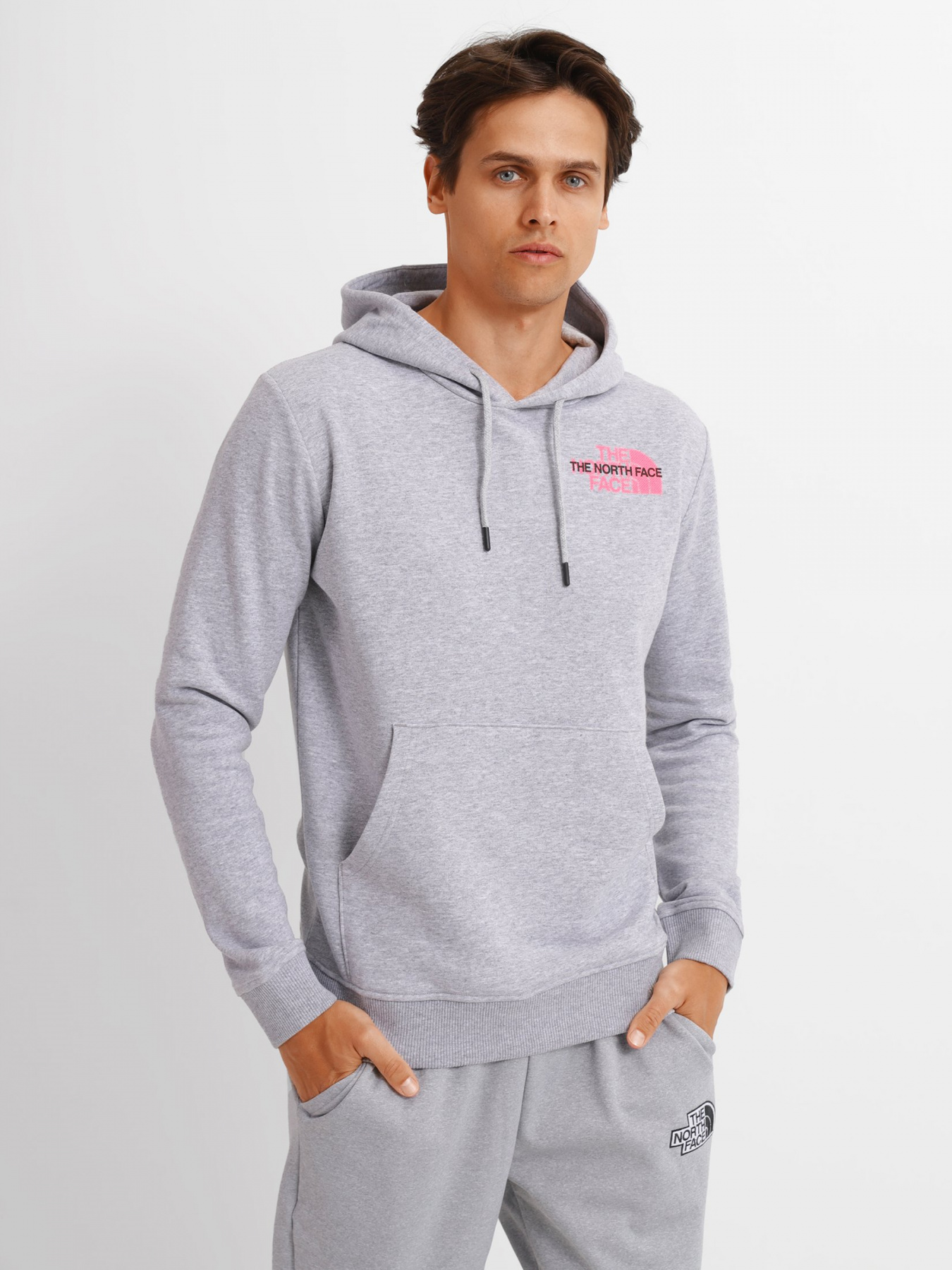 Худі The North Face Graphic Light модель NF0A5IGZDYX1 Фото