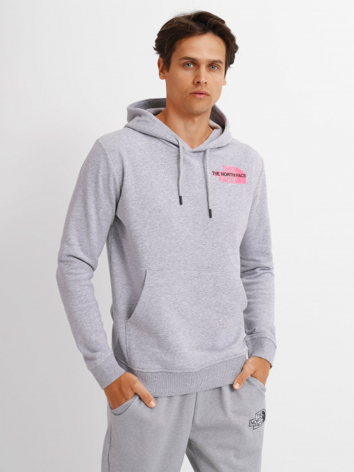 Худі The North Face Graphic Light модель NF0A5IGZDYX1 Фото