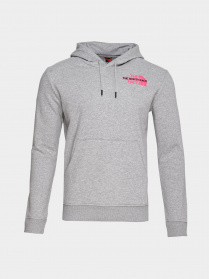 Худі The North Face Graphic Light модель NF0A5IGZDYX1 Фото