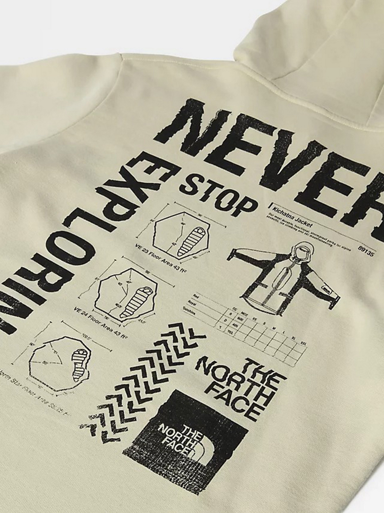 Худі The North Face Galahm Graphic модель NF0A7R2L3X41 Фото