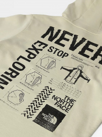 Худі The North Face Galahm Graphic модель NF0A7R2L3X41 Фото