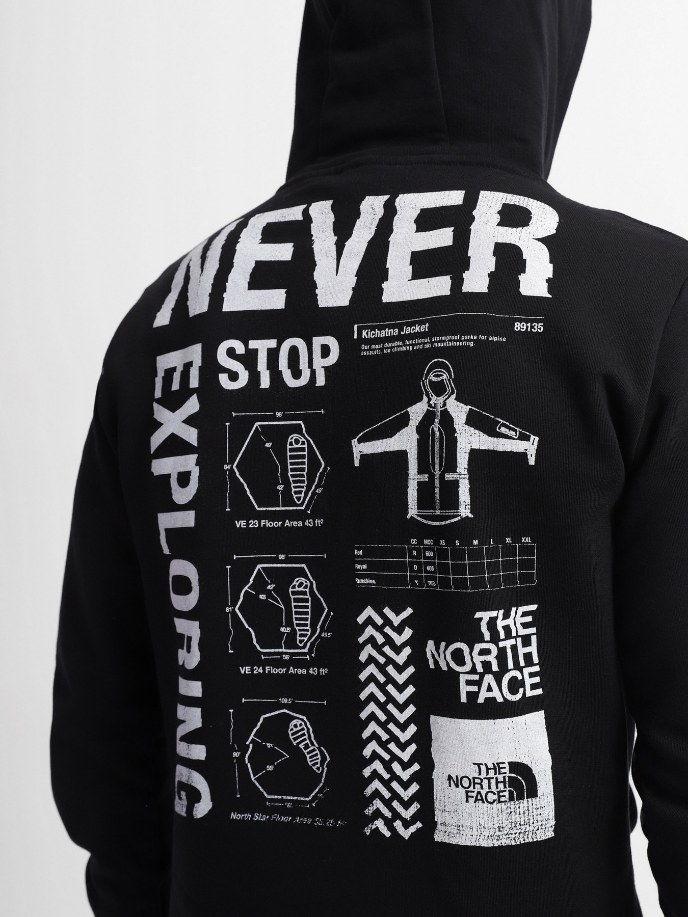 Худи The North Face Galahm Graphic модель NF0A7R2LJK31 Фото