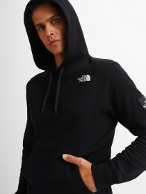 Худи The North Face Galahm Graphic модель NF0A7R2LJK31 Фото