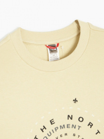 Свитшот The North Face Galahm Graphic модель NF0A7R2M3X41 Фото