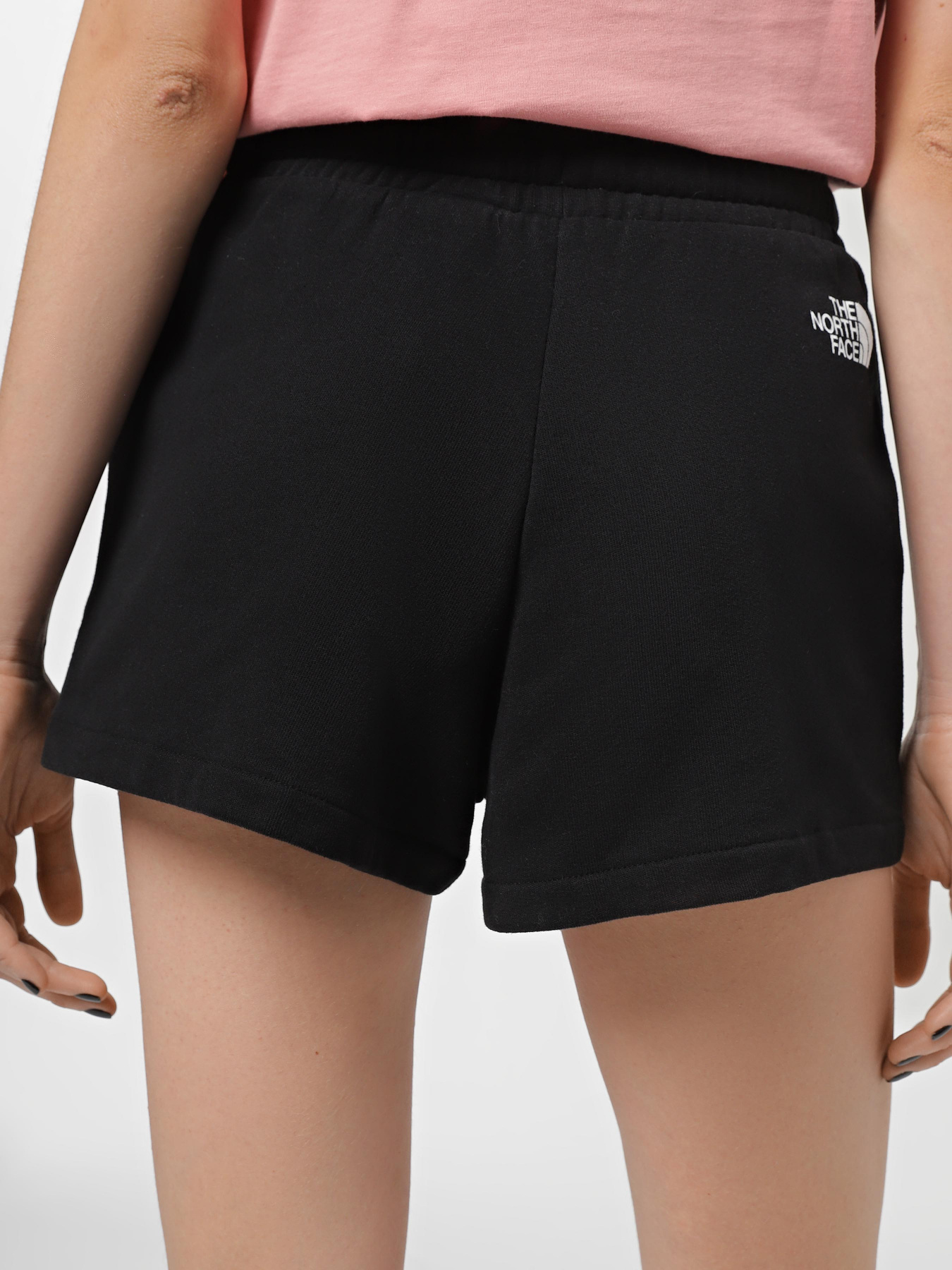 Шорты спортивные The North Face Logowear модель NF0A7QZXJK31 Фото