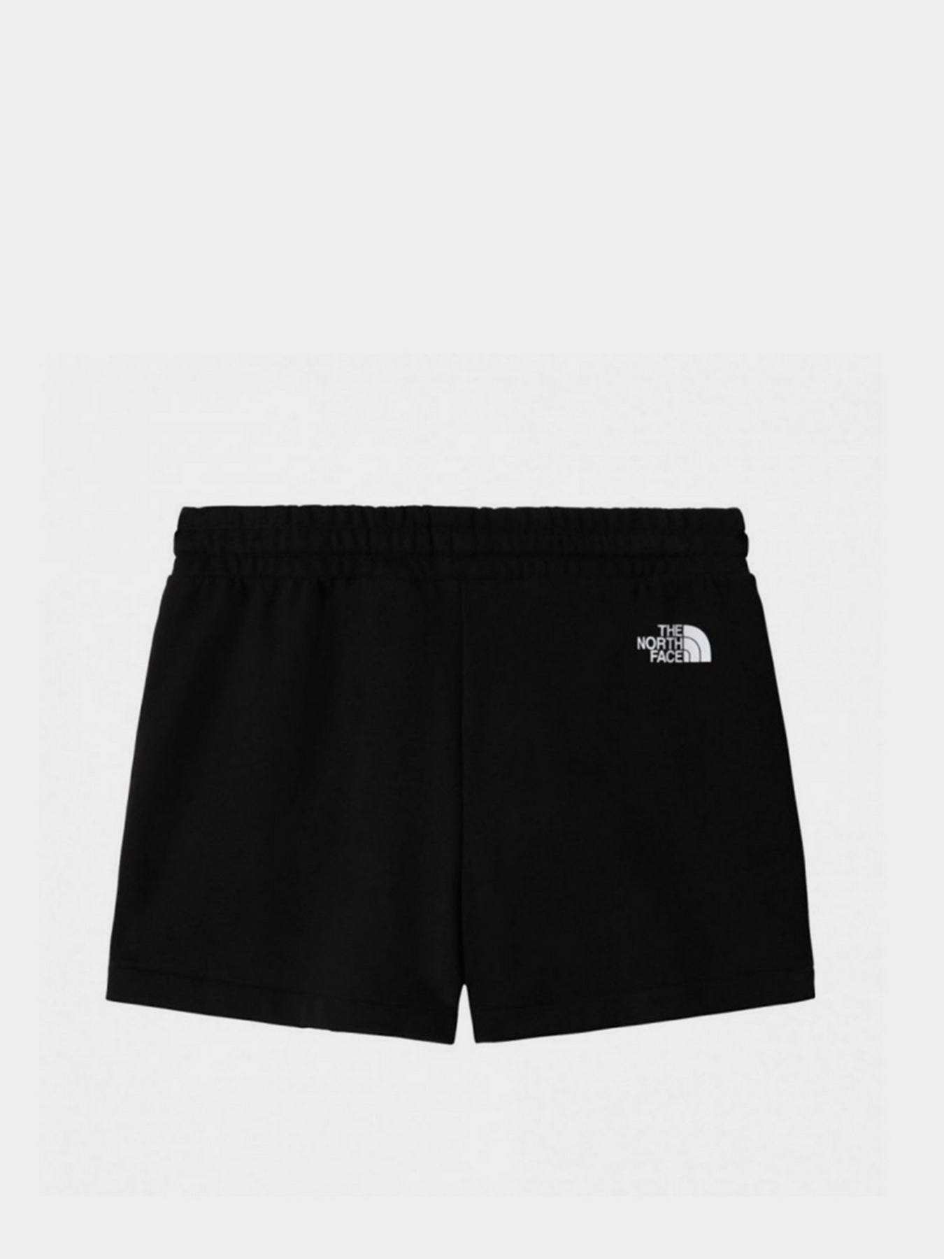 Шорты спортивные The North Face Logowear модель NF0A7QZXJK31 Фото