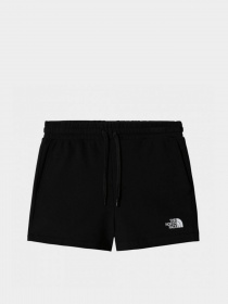 Шорты спортивные The North Face Logowear модель NF0A7QZXJK31 Фото