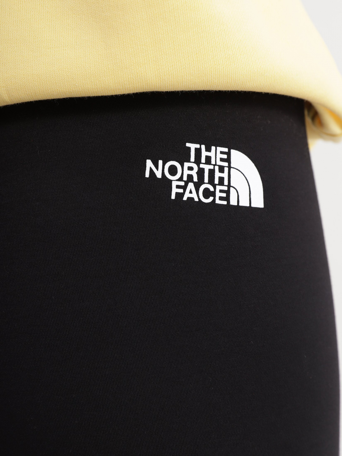 Легінси спортивні The North Face W Interlock Cotton Legging модель NF0A7ZGIJK31 Фото
