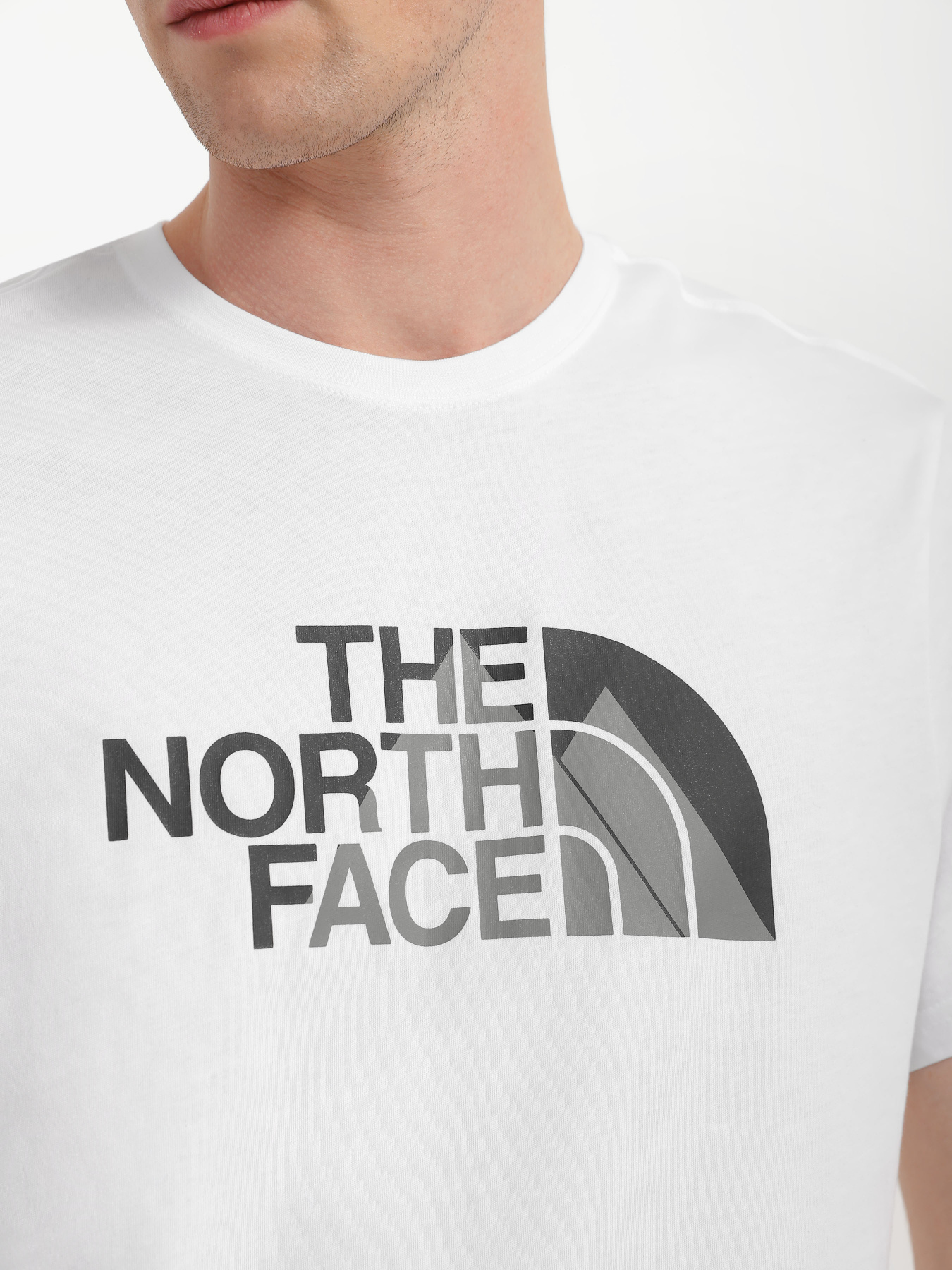 Футболки і поло The North Face Biner Graphic 1 модель NF0A7R4HFN41 Футболки і поло The North Face Biner Graphic 1 модель NF0A7R4HFN41 Фото