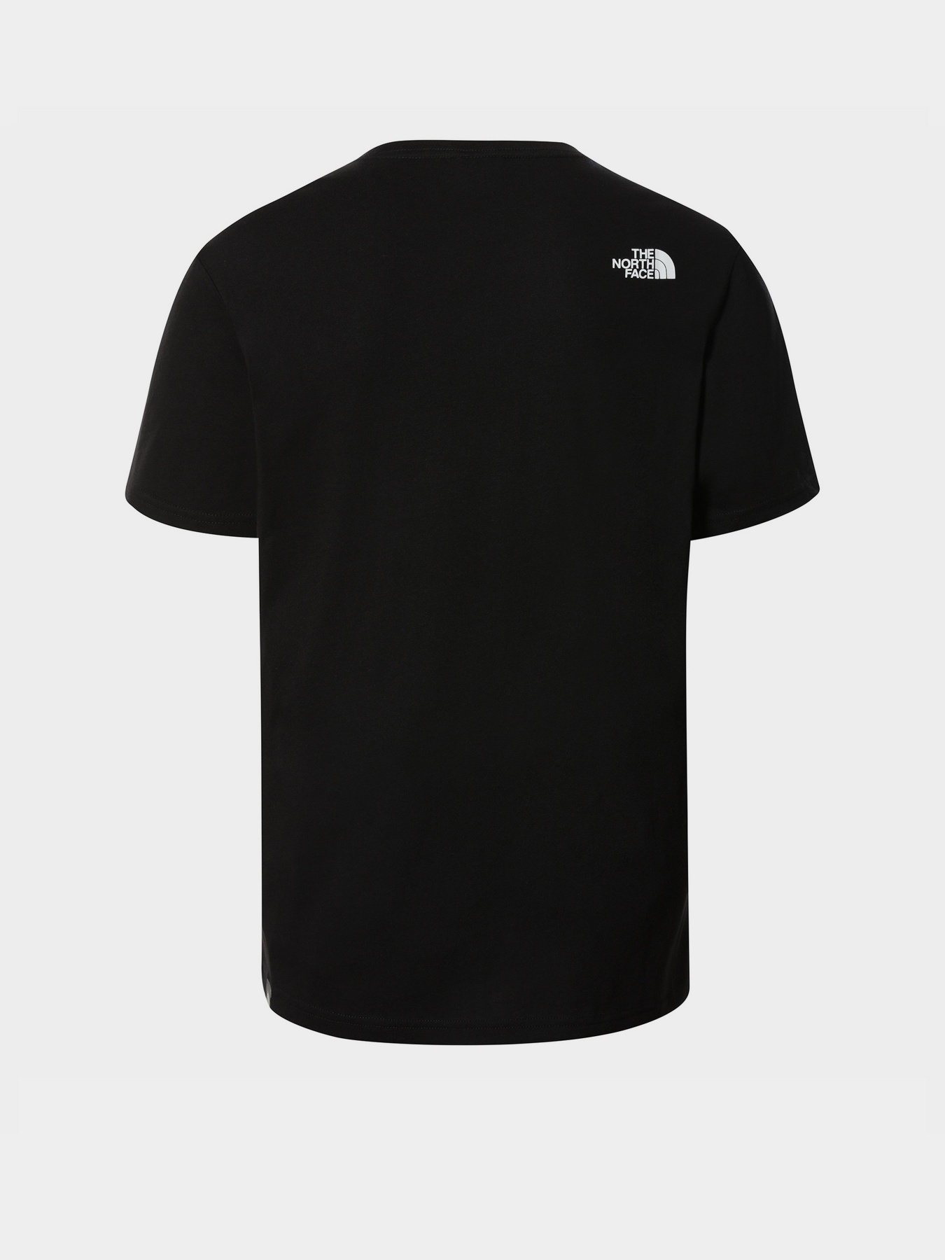 Футболки и поло The North Face Biner Graphic 1 модель NF0A7R4HJK31 Фото