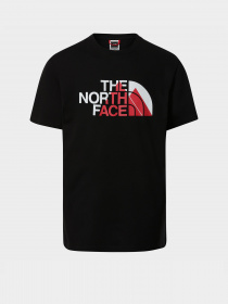 Футболки и поло The North Face Biner Graphic 1 модель NF0A7R4HJK31 Фото