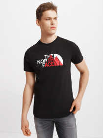 Футболки и поло The North Face Biner Graphic 1 модель NF0A7R4HJK31 Фото