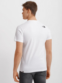 Футболка The North Face Biner Graphic 2 модель NF0A7R4JFN41 Фото