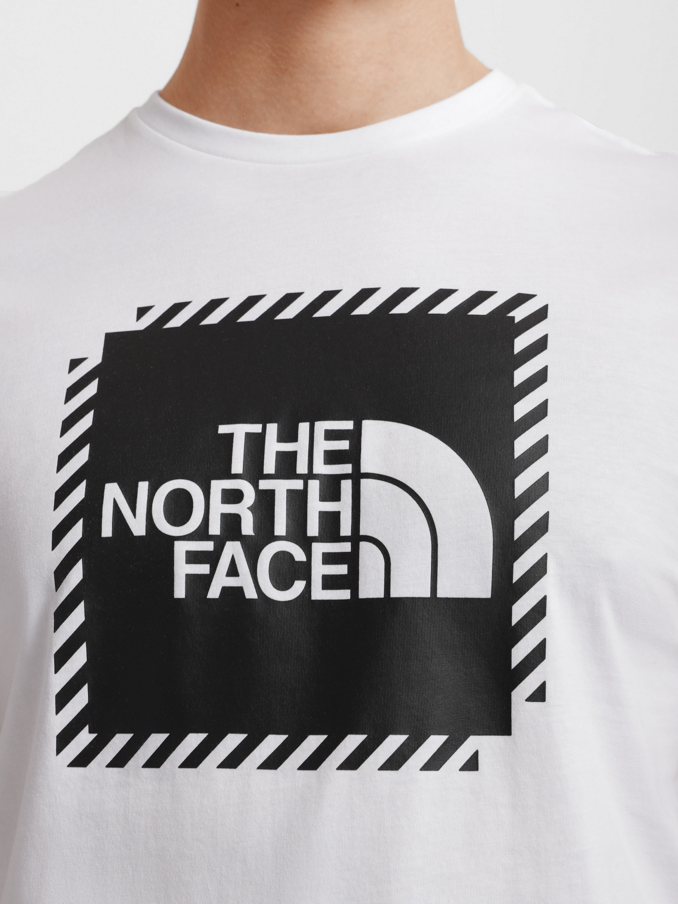 Футболка The North Face Biner Graphic 2 модель NF0A7R4JFN41 Фото