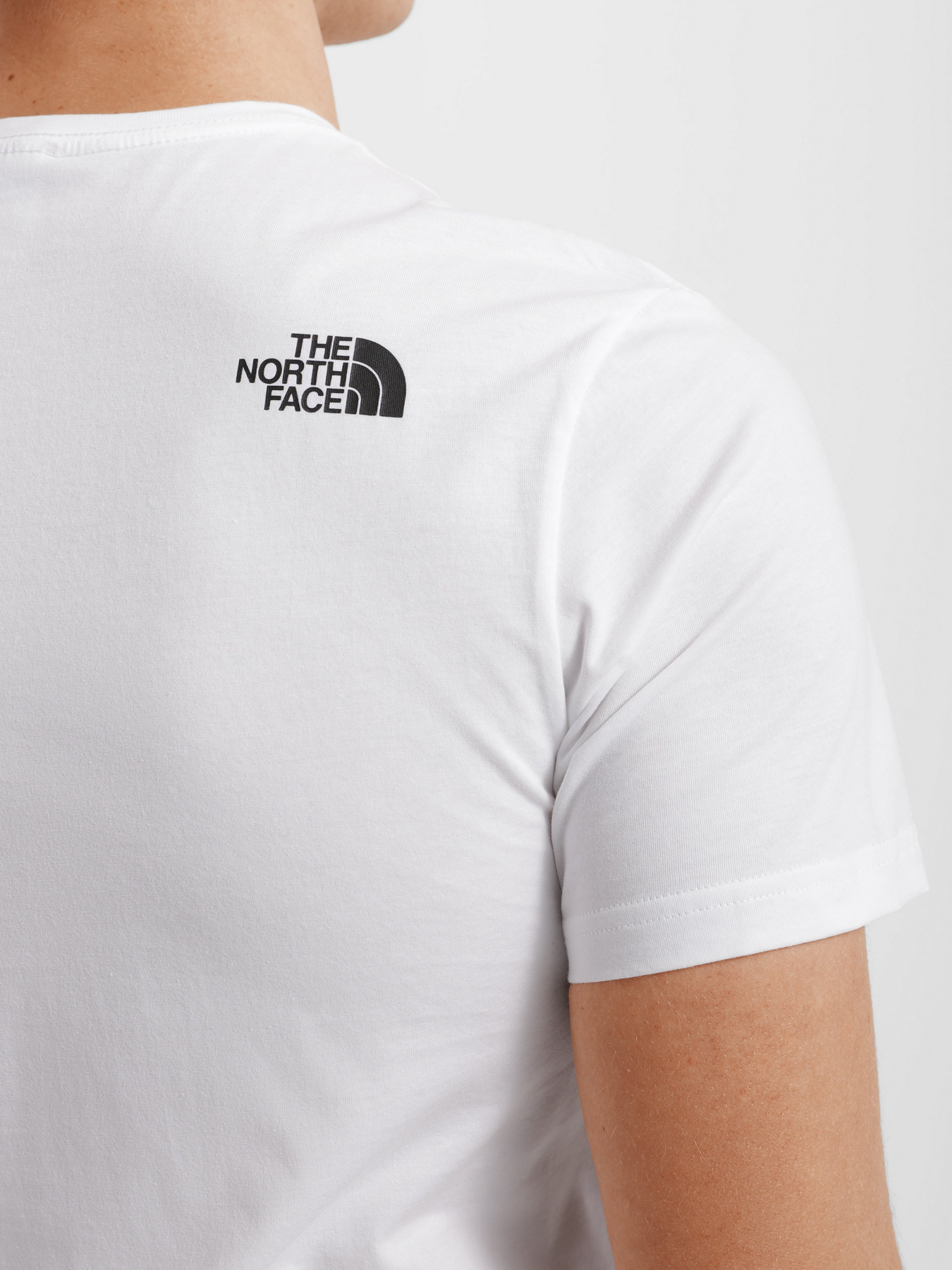 Футболки и поло The North Face Biner Graphic 2 модель NF0A7R4JFN41 Футболки и поло The North Face Biner Graphic 2 модель NF0A7R4JFN41 Фото