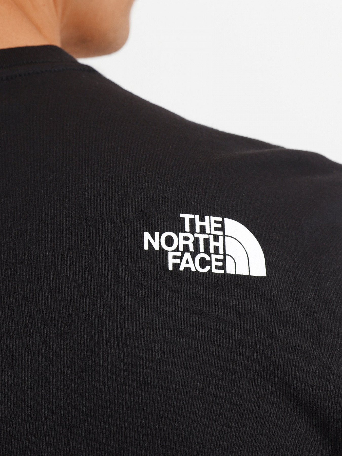 Футболки и поло The North Face Biner Graphic 2 модель NF0A7R4JJK31 Фото