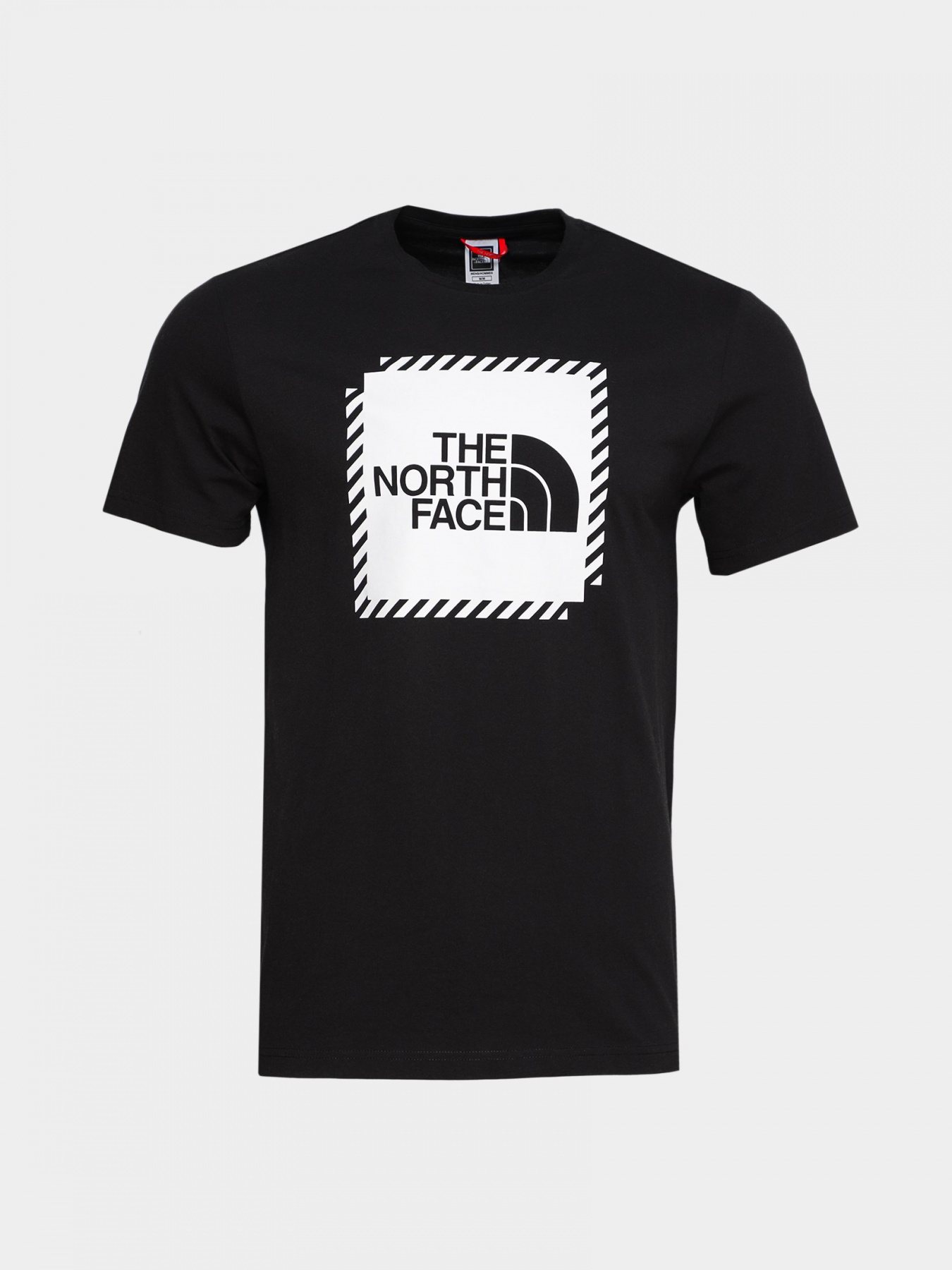 Футболки и поло The North Face Biner Graphic 2 модель NF0A7R4JJK31 Фото