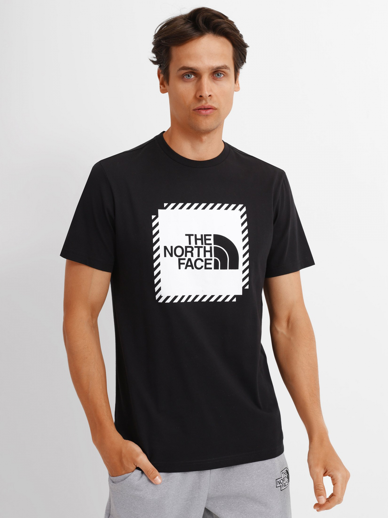 Футболки и поло The North Face Biner Graphic 2 модель NF0A7R4JJK31 Фото