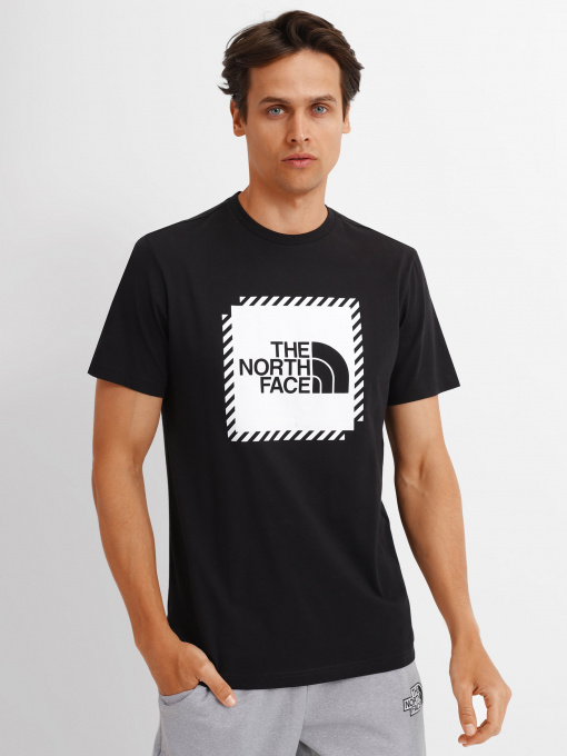 Футболки и поло The North Face Biner Graphic 2 модель NF0A7R4JJK31 Фото