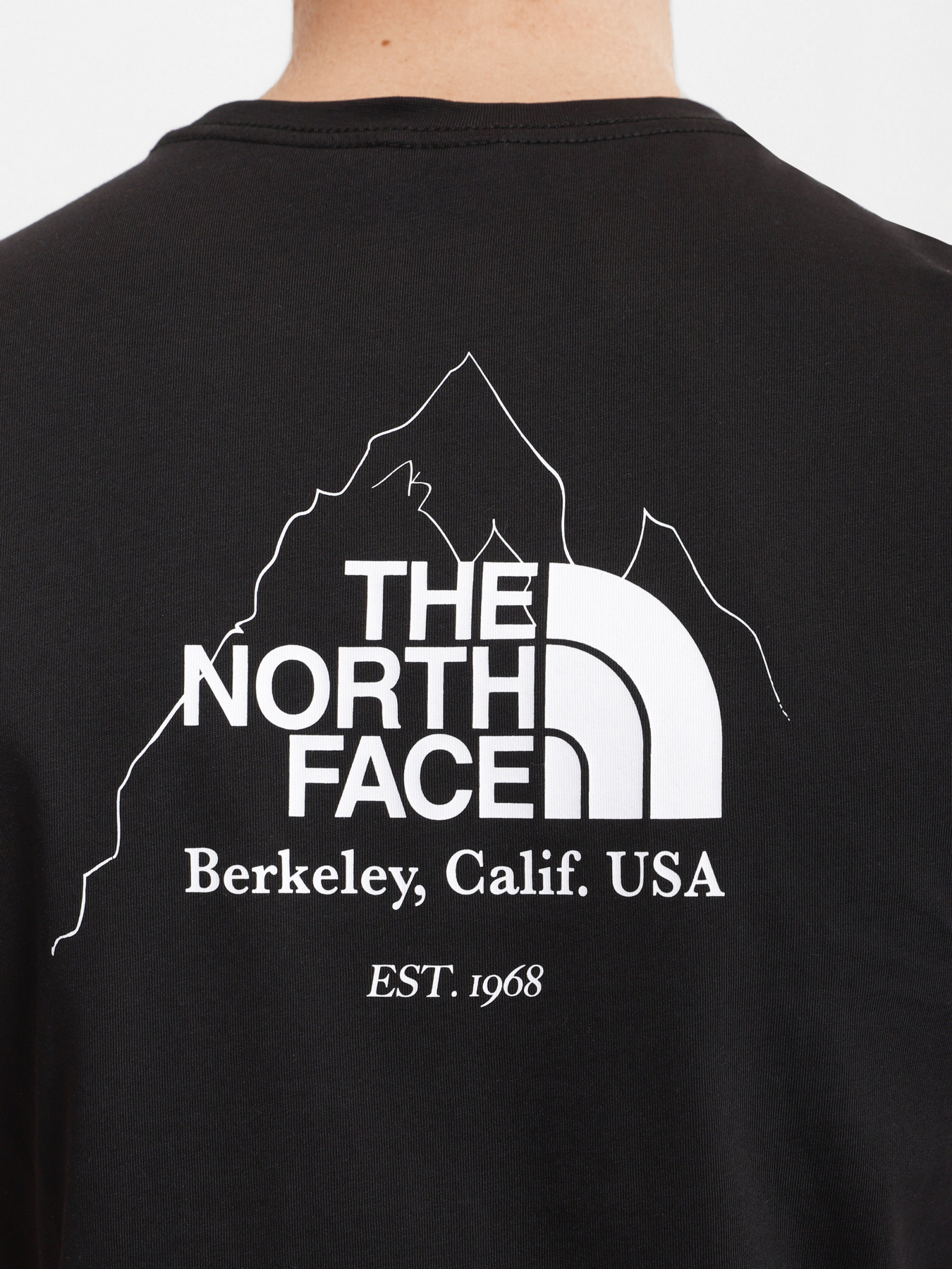 Футболки и поло The North Face Biner Graphic 4 модель NF0A7R4LJK31 Фото