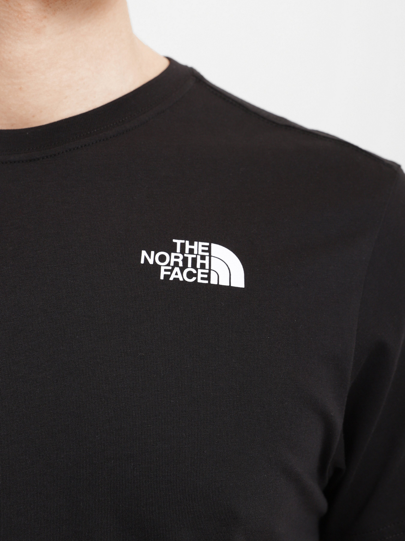 Футболки и поло The North Face Biner Graphic 4 модель NF0A7R4LJK31 Фото