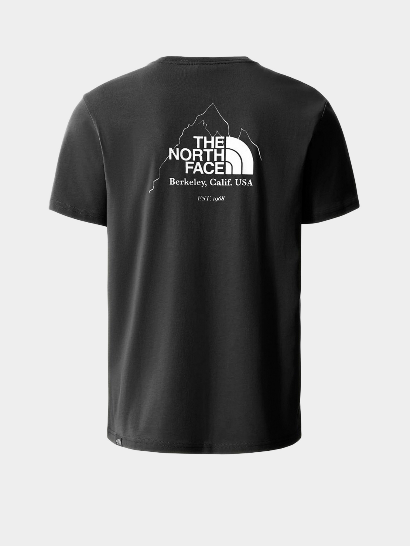 Футболки и поло The North Face Biner Graphic 4 модель NF0A7R4LJK31 Фото