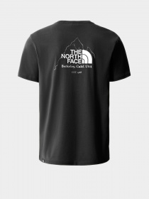 Футболки и поло The North Face Biner Graphic 4 модель NF0A7R4LJK31 Фото