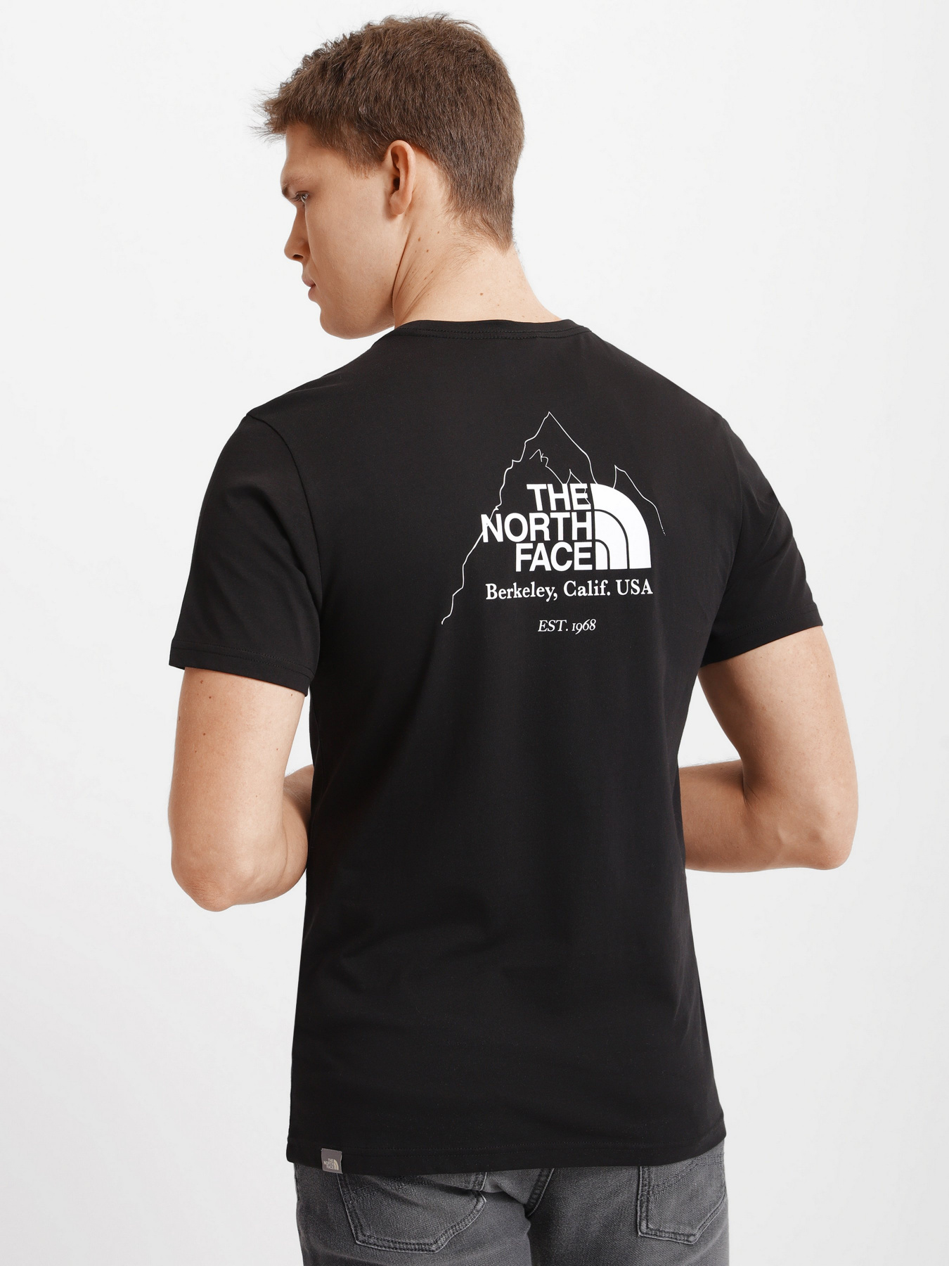 Футболки і поло The North Face Biner Graphic 4 модель NF0A7R4LJK31 Фото