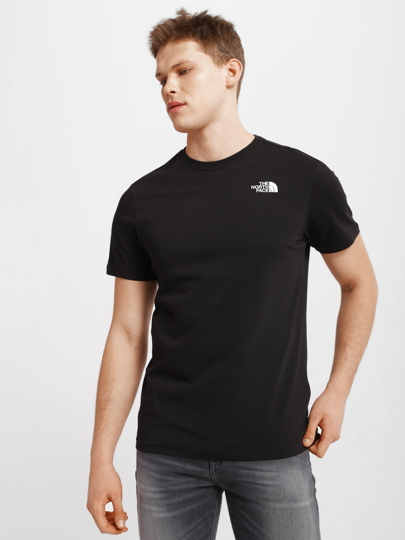 Футболки і поло The North Face Biner Graphic 4 модель NF0A7R4LJK31 Фото