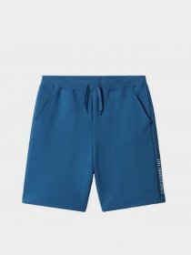 Повседневные шорты The North Face Zumu модель NF0A7SXFM191 Фото