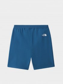 Повседневные шорты The North Face Zumu модель NF0A7SXFM191 Фото