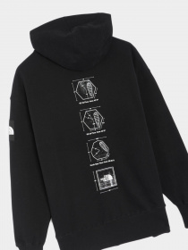 Худі The North Face Galahm Graphic модель NF0A7R28JK31 Фото