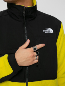 Кофта The North Face Denali 2 Шерпа модель NF0A4QYJ7601 Фото