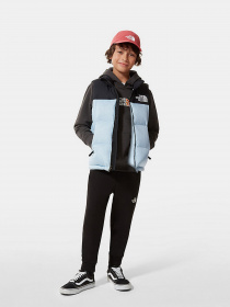Жилет с утеплителем The North Face Retro Nuptse 1996 модель NF0A4TIN3R31 Фото