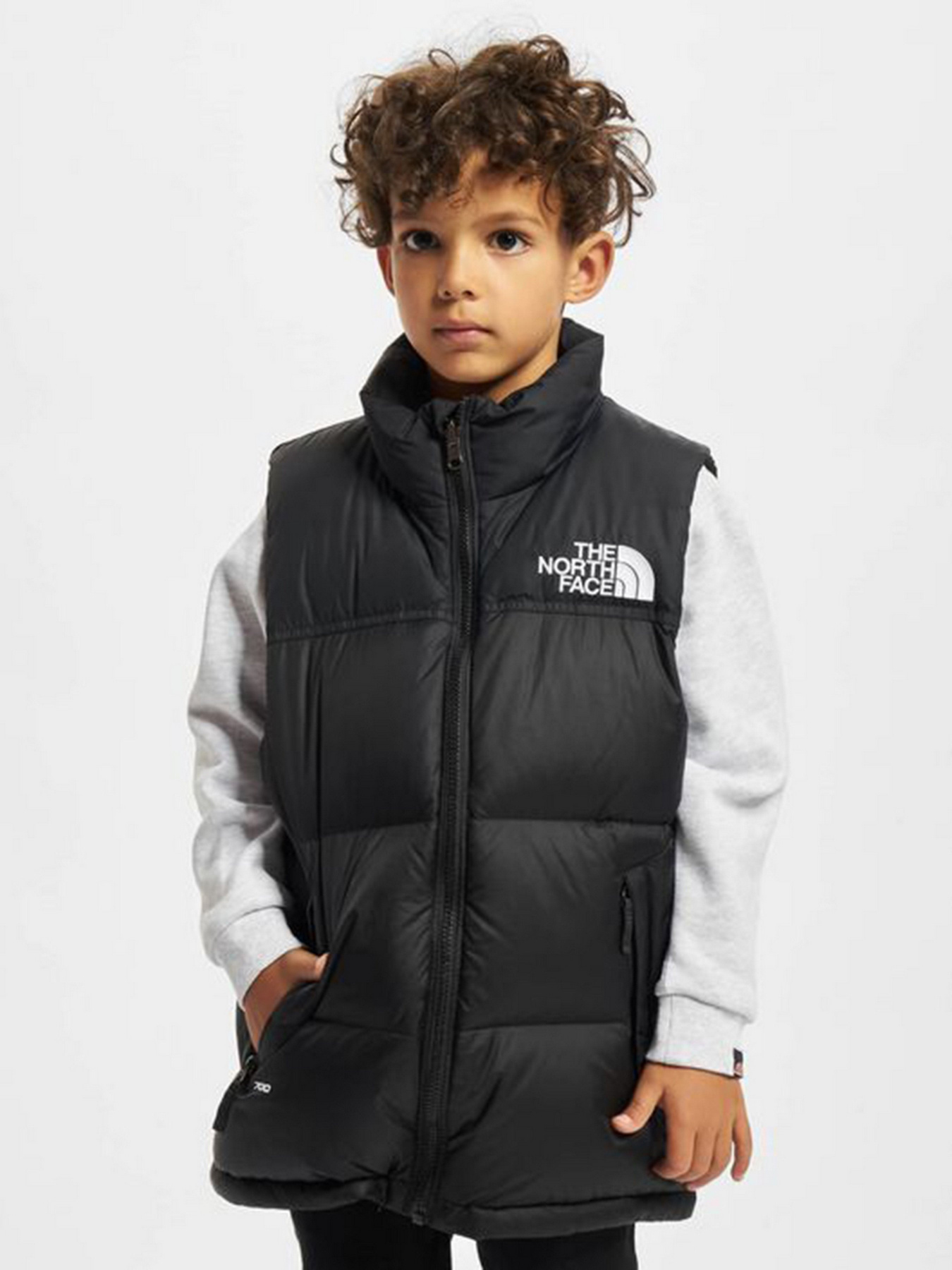 Жилет с утеплителем The North Face Retro Nuptse 1996 модель NF0A4TINJK31 Фото