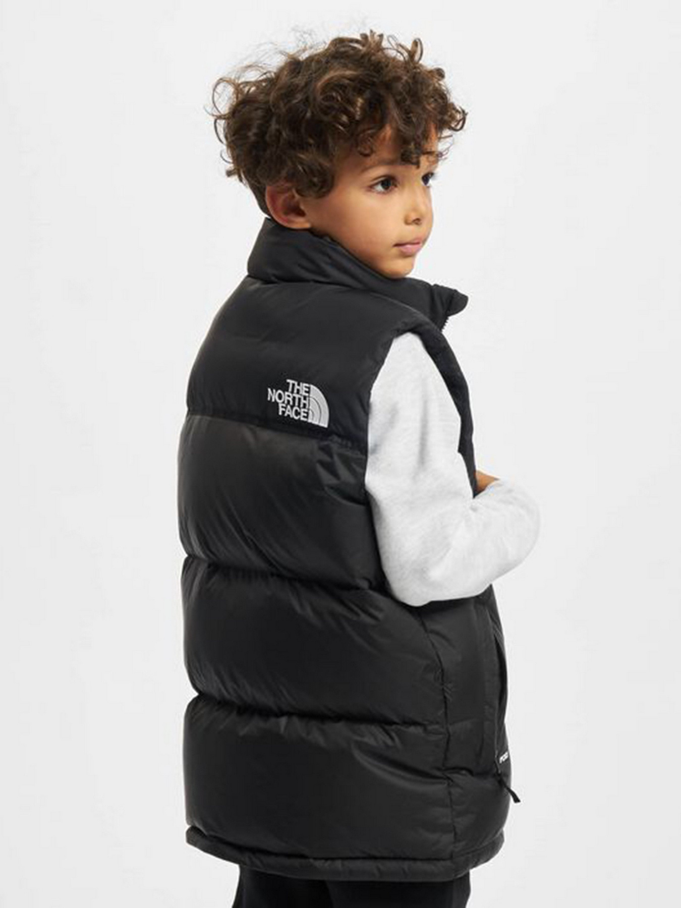 Утепленный жилет The North Face Retro Nuptse 1996 модель NF0A4TINJK31 Фото