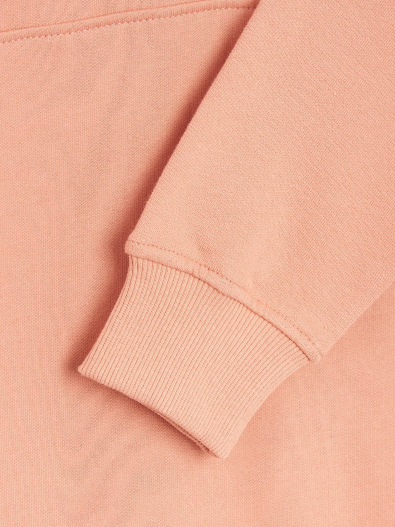 Худи The North Face Zumu модель NF0A491PHCZ1 Фото