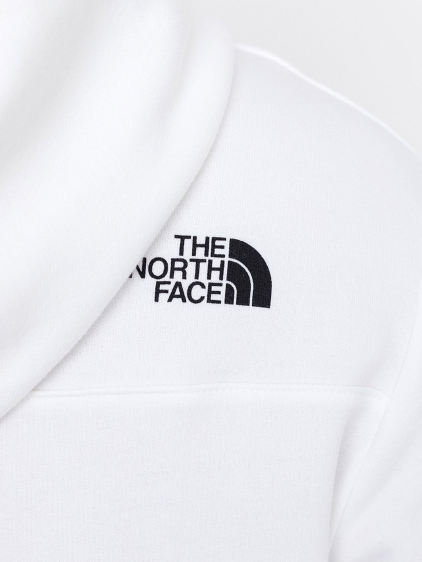 Худи The North Face Zumu Fleece модель NF0A5ILJFN41 Фото