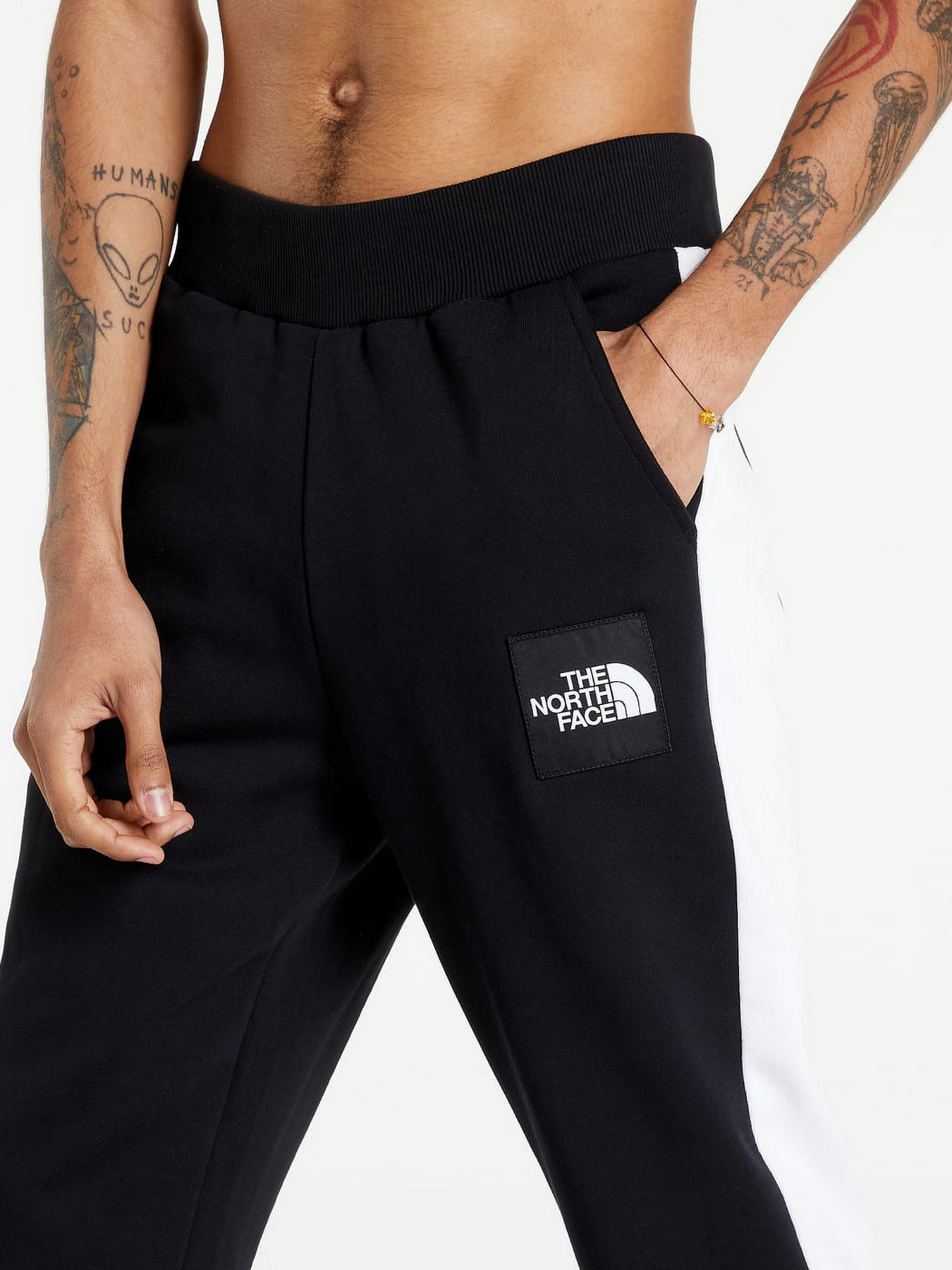 Штаны спортивные The North Face Black Box Fine Alpine Equipment модель NF0A7R2KJK31 Фото