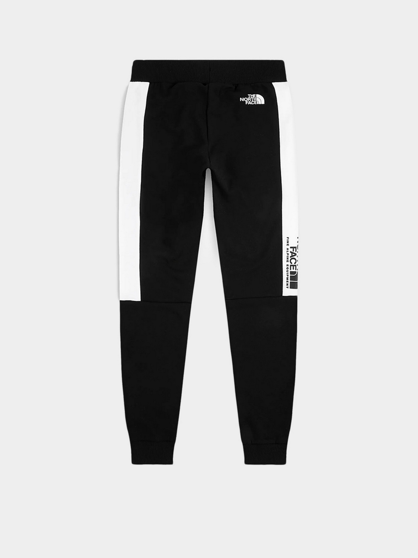 Штаны спортивные The North Face Black Box Fine Alpine Equipment модель NF0A7R2KJK31 Фото