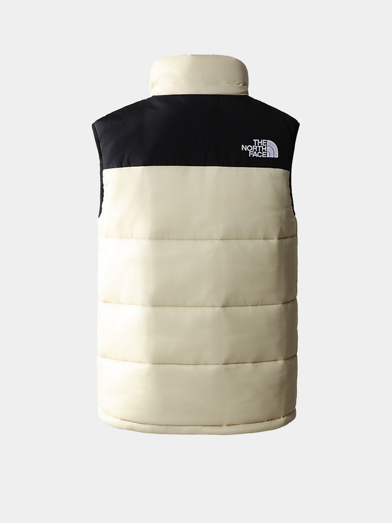 Жилет с утеплителем The North Face Bombay Vest модель NF0A4QZ43X41 Фото