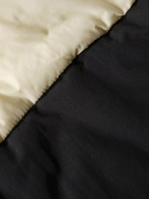 Жилет с утеплителем The North Face Bombay Vest модель NF0A4QZ43X41 Фото