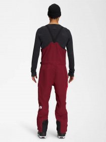 Комбинезон The North Face M DRAGLINE BIB модель NF0A5ABY92L1 Фото