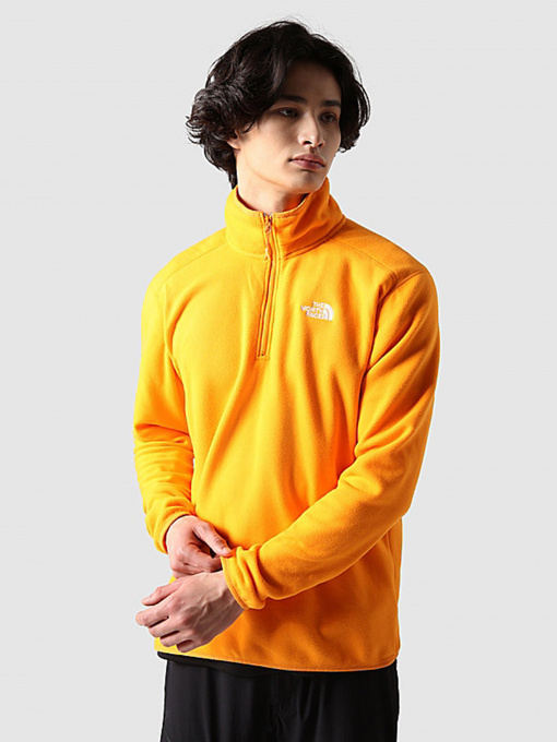 Кофта The North Face 100 Glacier модель NF0A5IHP78M1 Фото