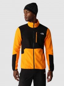 Кофта The North Face Glacier Pro модель NF0A5IHS7Q61 Фото