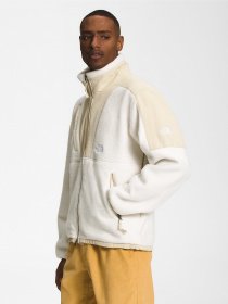 Кофта The North Face Denali 94 Шерпа модель NF0A7URI4U01 Фото