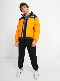 Пуховик The North Face 1996 Nuptse модель NF0A3C8D78M1 Фото